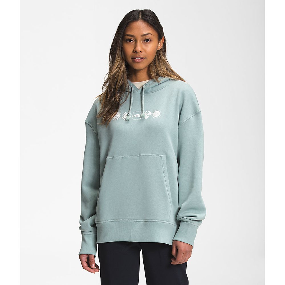 The North Face Hoodie Womens Australia - The North Face Himalayan Bottle Source Pullover Silver Blue